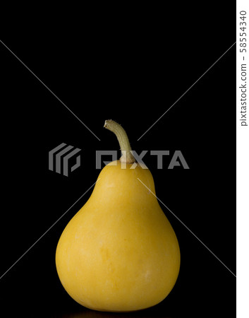 Pear-shaped decorative pumpkin on a black Pear-shaped decorative pumpkin on a black 58554340
