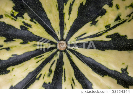 Background and texture of decorative pumpkin Background and texture of decorative pumpkin 58554344