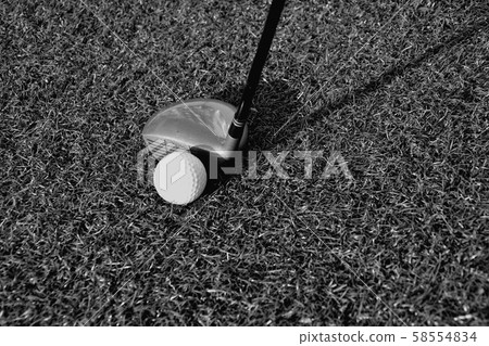 A golf club on a golf course 58554834