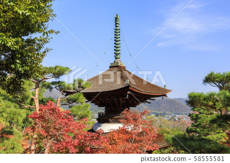 京都,淨山寺,秋天,秋葉,淘寶 京都,淨山寺,秋天,秋葉,淘寶 58555581