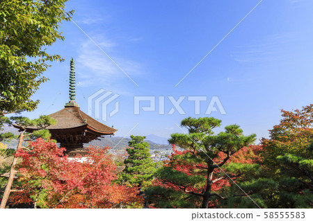 京都,淨山寺,秋天,秋葉,淘寶 京都,淨山寺,秋天,秋葉,淘寶 58555583