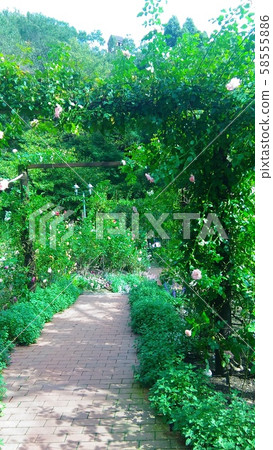 Kuroda Herb Garden Kuroda Herb Garden 58555886