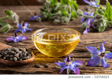 A bowl of borage oil and borage seeds and flowers 58556025