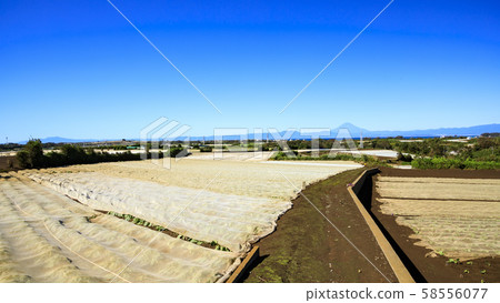 田野（秋天） 58556077