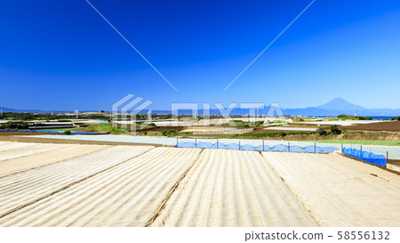 田野（秋天） 58556132