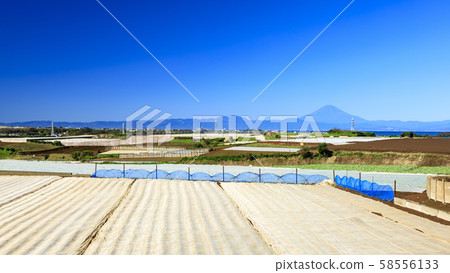 Field (autumn) Field (autumn) 58556133