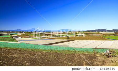 Field (autumn) Field (autumn) 58556149