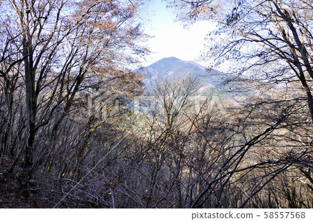 武藏修的武子山 武藏修的武子山 58557568