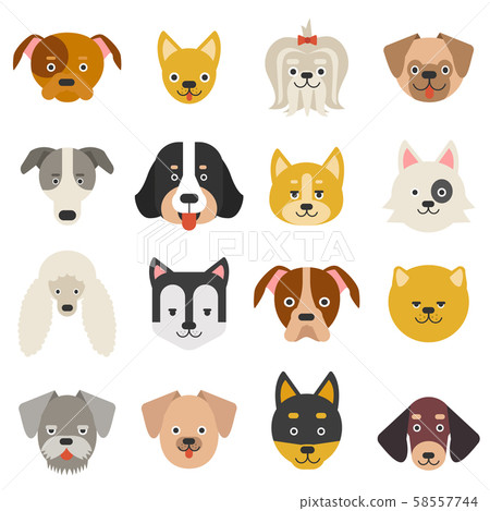 Heads of home pets. Funny dogs in flat style Heads of home pets. Funny dogs in flat style 58557744