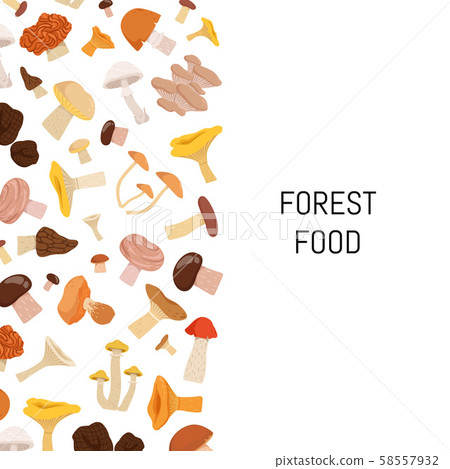 Vector background with cartoon mushrooms Vector background with cartoon mushrooms 58557932