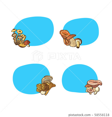 Vector hand drawn mushrooms stickers set with place for text illustration 58558118