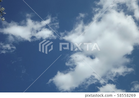 棉花糖般的雲 棉花糖般的雲 58558269