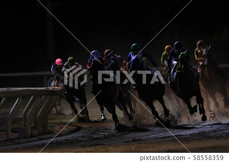 Niter horse race Niter horse race 58558359