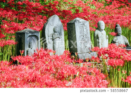 Higankyana and stone Buddha 58558667