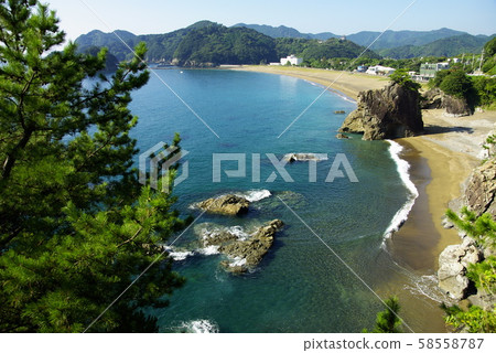 Sea turtle spawning ground 58558787