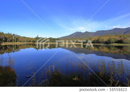 知床五湖的兩個湖泊（北海道沙裡鎮） 58558823