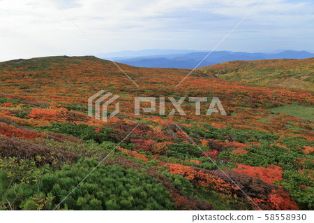 秋天的顏色從栗駒山山脊的風景（東栗駒球場） 58558930