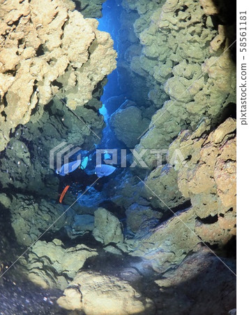 水下洞穴@宮古島 58561181