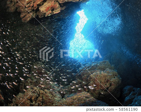 Underwater cave @ Miyakojima Underwater cave @ Miyakojima 58561190