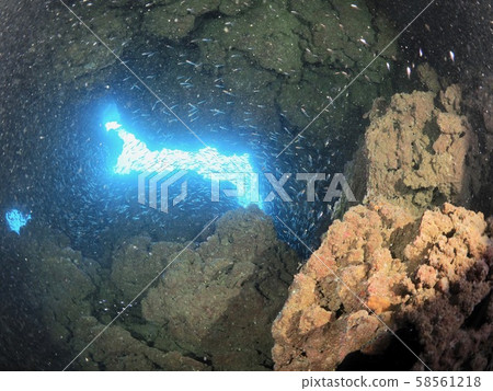 Underwater cave @ Miyakojima Underwater cave @ Miyakojima 58561218