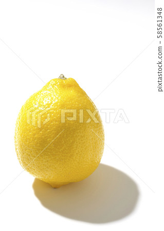 Lemon Lemon 58561348