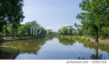 Maruyama Park Landscape Onuma Ageo City Maruyama Park Landscape Onuma Ageo City 58561589