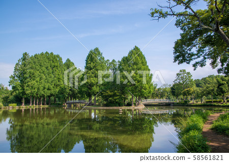 丸山公園大沼上野市景觀 丸山公園大沼上野市景觀 58561821