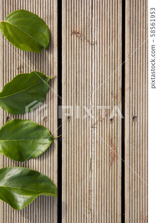 Wooden deck and leaves Wooden deck and leaves 58561953