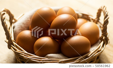 雞蛋 雞蛋 58561962