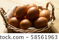 雞蛋 58561963