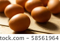雞蛋 58561964