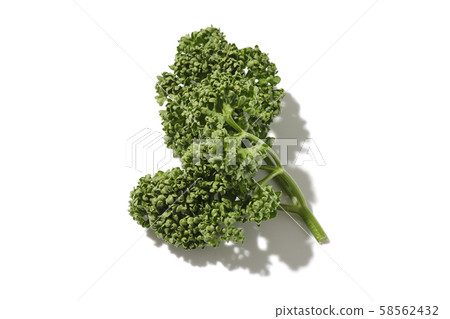 Parsley Parsley 58562432