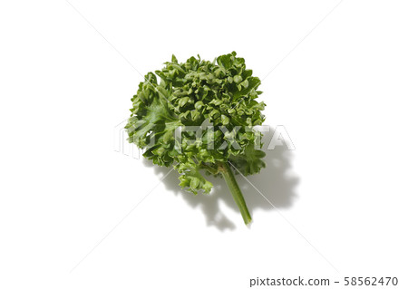 Parsley Parsley 58562470