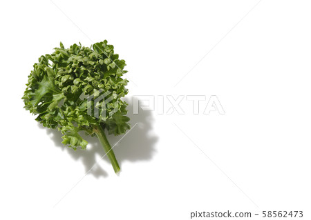 Parsley Parsley 58562473