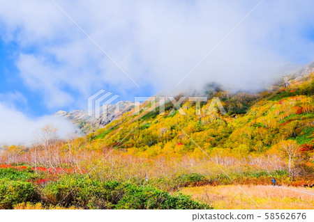 Tsugaike Nature Park (Autumn) Tsugaike Nature Park (Autumn) 58562676