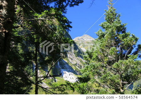 Northern Alps Hodake mountain range vertical traverse Yokootani mountain trail looking up at Motodaka 58564574