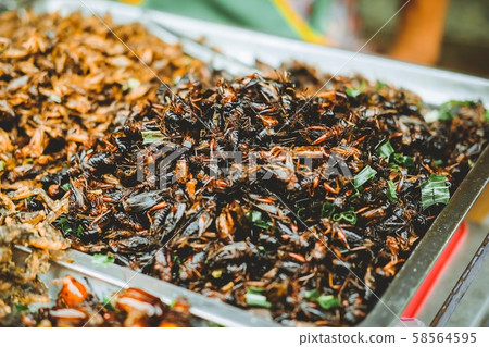 Fried black cricket at Yaowarat Road at Chinatown in Bangkok, Thailand. Street food in famous. 58564595