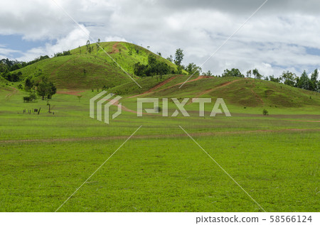 View of beautiful landscape with fresh green meadows and mountain. 58566124