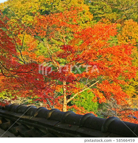 Yagyu no Sato Nara Prefecture Yagyu no Sato Nara Prefecture 58566459