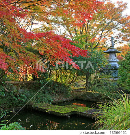 Yagyu no Sato Nara Prefecture Yagyu no Sato Nara Prefecture 58566461