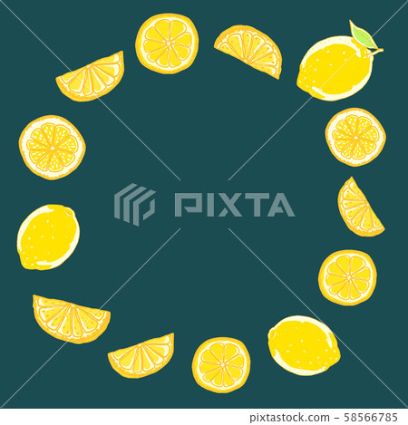 Hand drawn lemon 58566785