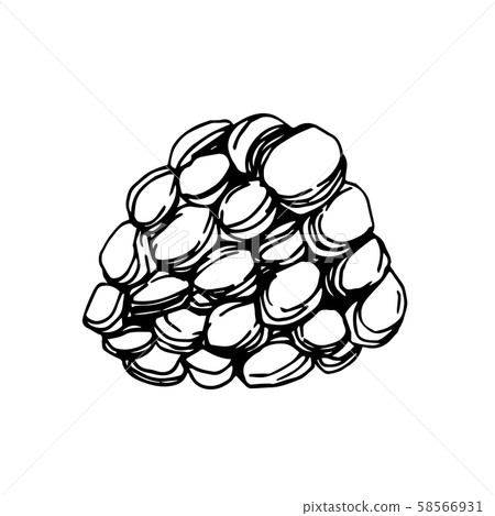 Vector Blackberry healthy food. Black and white engraved ink art. Isolated berry illustration 58566931
