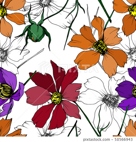 Vector Cosmos floral botanical flowers. Black and white engraved ink art. Seamless background 58566943