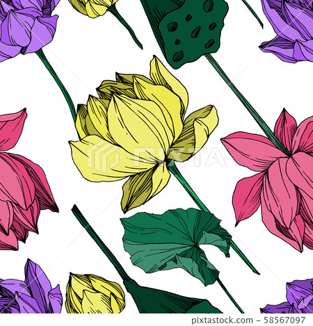Vector Lotus floral botanical flower. Black and white engraved ink art. Seamless background pattern. 58567097