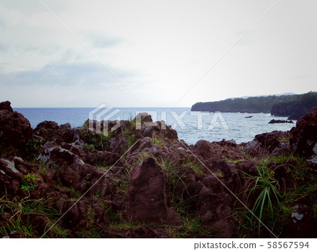 Jogasaki Coast 3 (Ito City, Shizuoka Prefecture) 58567594
