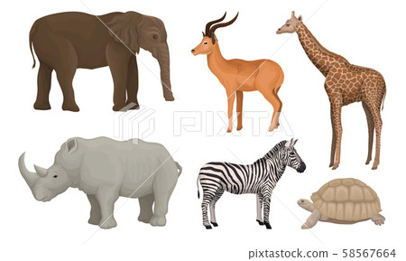 African Area Habitants Drawn In Realistic Manner Vector Illustrations 58567664