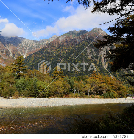 Kamikochi Autumn leaves (Nagano Prefecture) 58567833