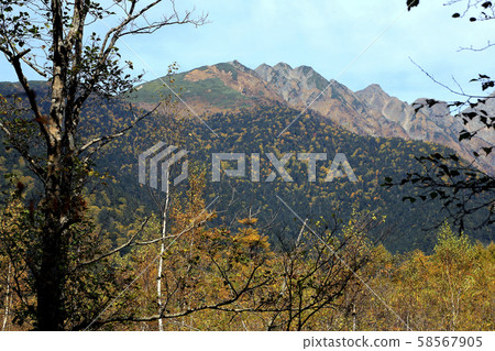 Kamikochi Autumn leaves (Nagano Prefecture) Kamikochi Autumn leaves (Nagano Prefecture) 58567905