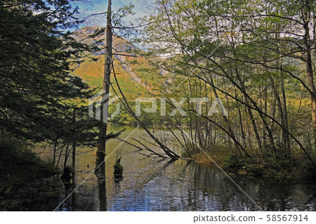 Kamikochi Autumn leaves (Nagano Prefecture) Kamikochi Autumn leaves (Nagano Prefecture) 58567914