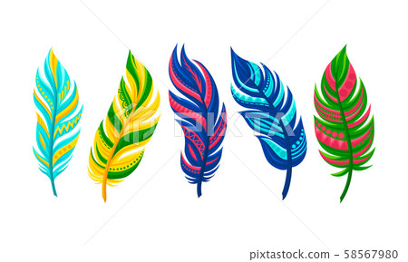 Bright Colorful Feather Isolated Items Vector Collection 58567980